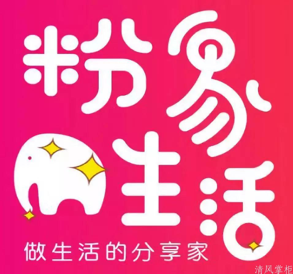 粉象生活月入10000+手把手教你实战推广技巧  第2张